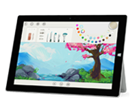 枣强Surface 无法开启、Windows 无法启动或电池无法充电